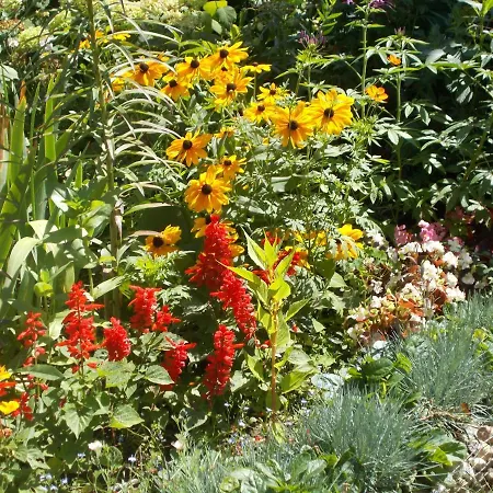 度假居 勒纳特2号度假屋