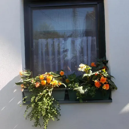 Lenart House 2 Holiday home *