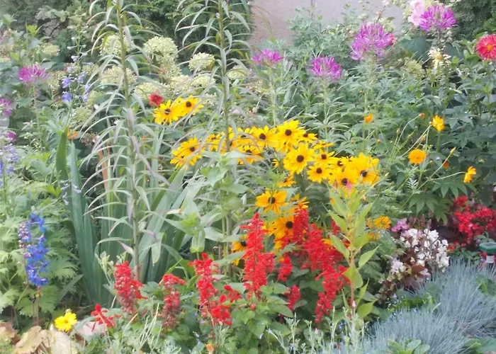 Tatil Evi Lenart House 2